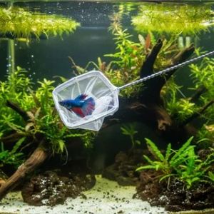 Rede Pega Peixe Redinha Aquário No4 12,5x15,5 Cor Azul